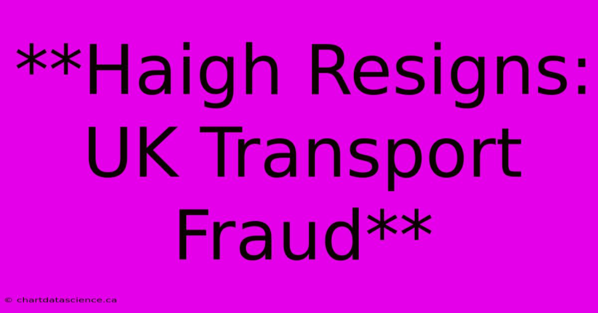 **Haigh Resigns: UK Transport Fraud**