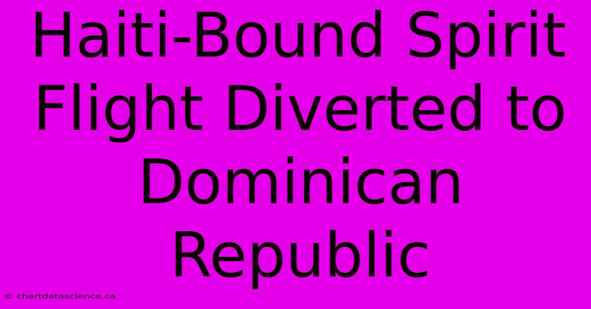 Haiti-Bound Spirit Flight Diverted To Dominican Republic