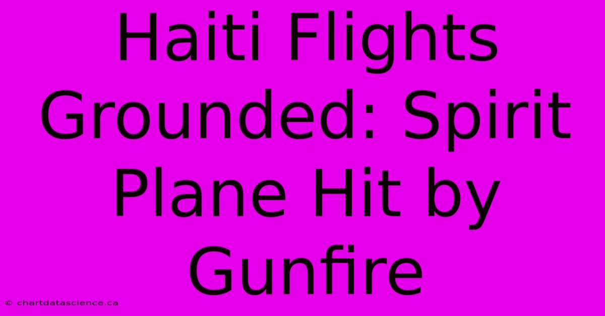 Haiti Flights Grounded: Spirit Plane Hit By Gunfire