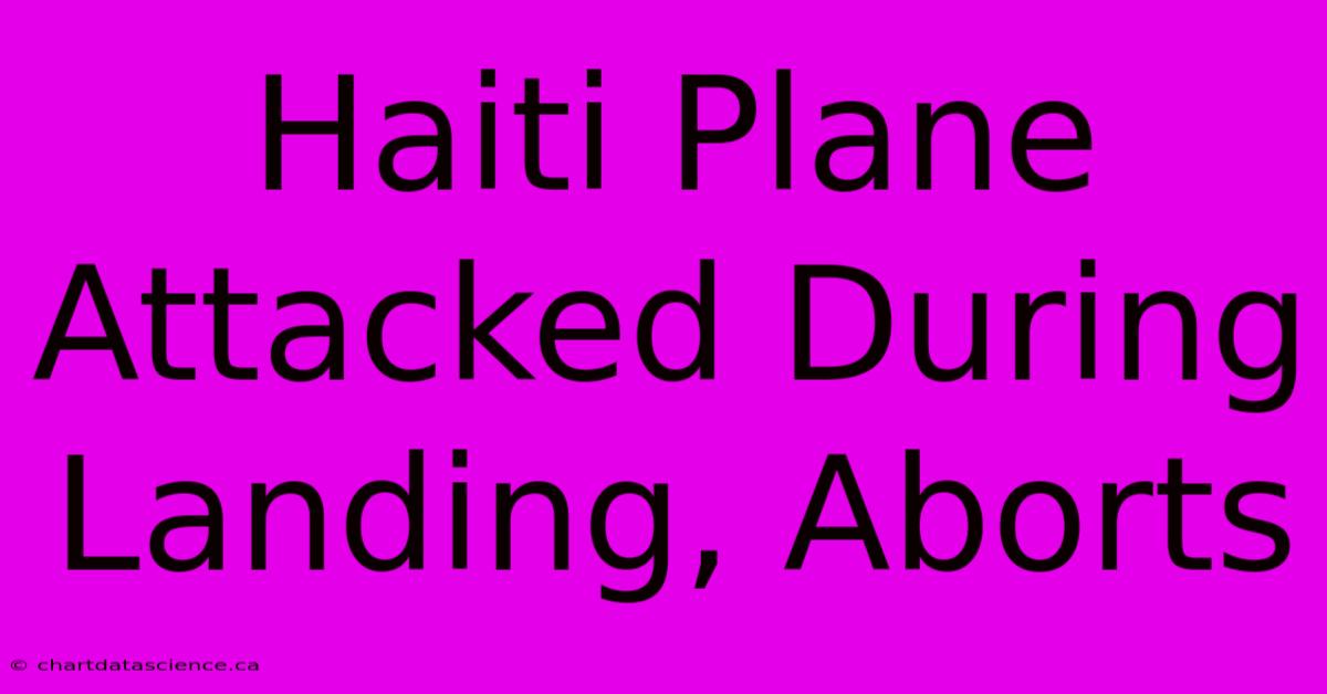 Haiti Plane Attacked During Landing, Aborts