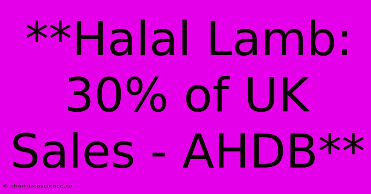 **Halal Lamb: 30% Of UK Sales - AHDB**