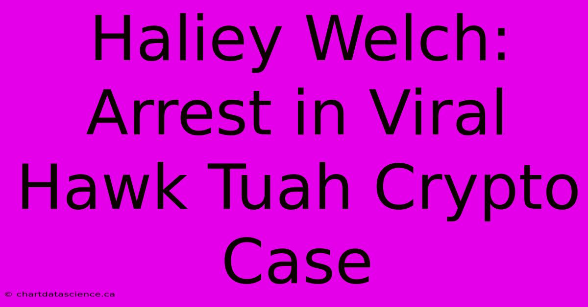 Haliey Welch: Arrest In Viral Hawk Tuah Crypto Case