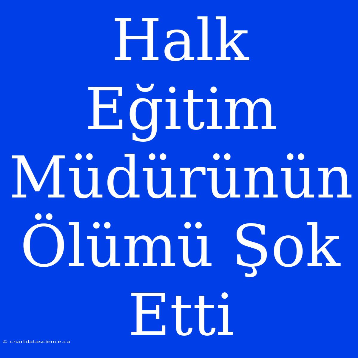 Halk Eğitim Müdürünün Ölümü Şok Etti