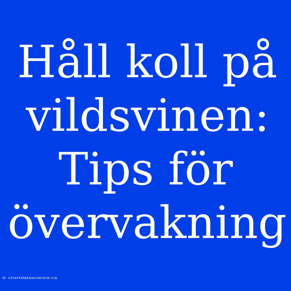 Håll Koll På Vildsvinen: Tips För Övervakning