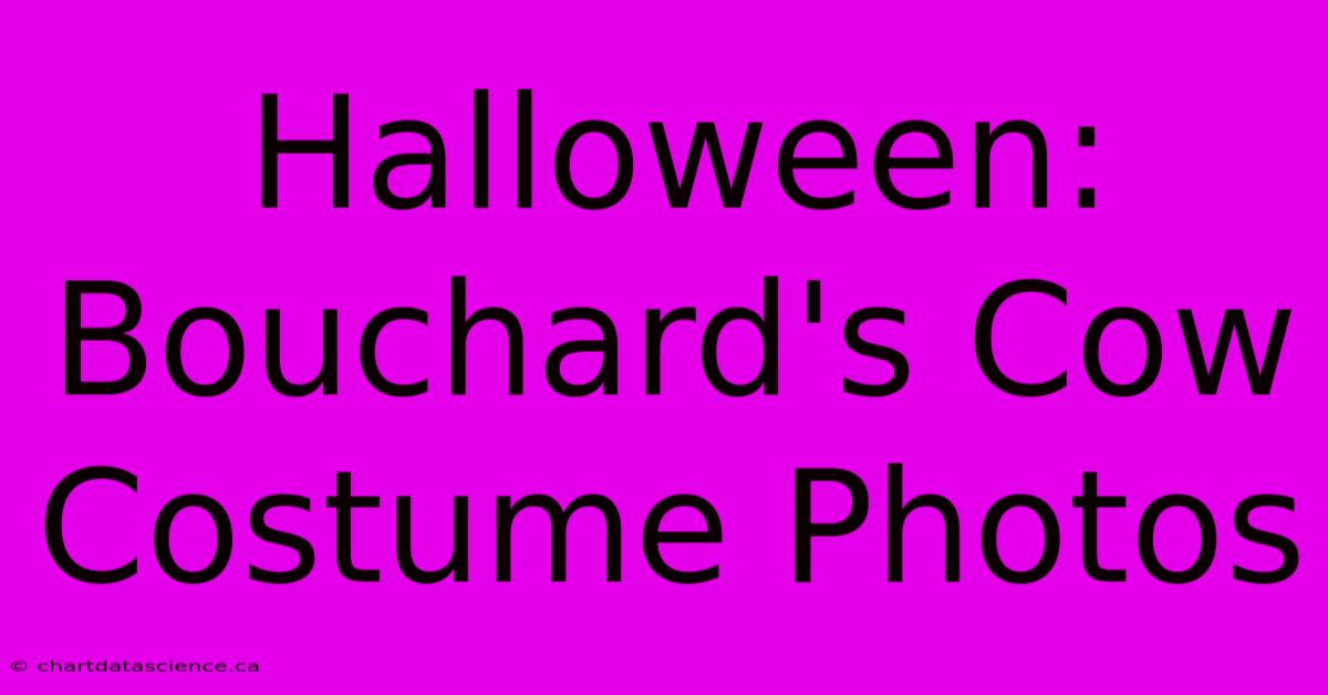 Halloween: Bouchard's Cow Costume Photos 