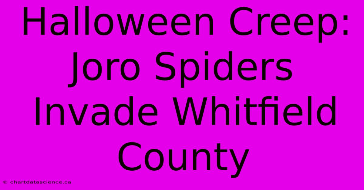 Halloween Creep: Joro Spiders Invade Whitfield County