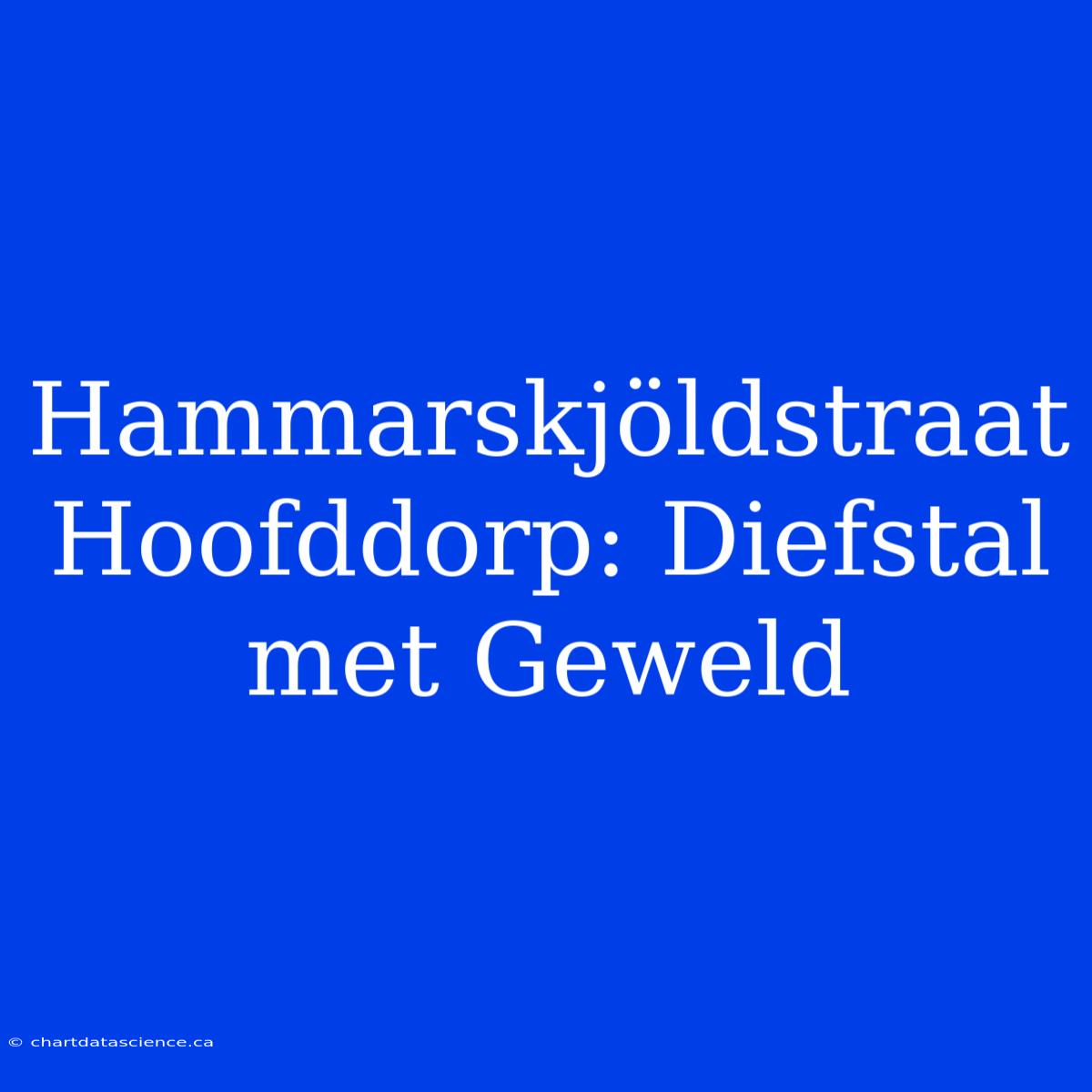 Hammarskjöldstraat Hoofddorp: Diefstal Met Geweld