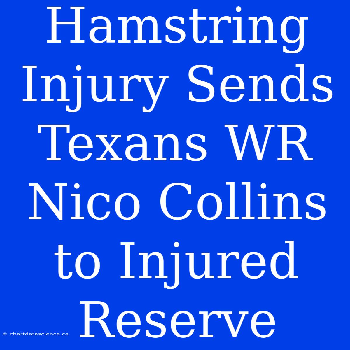 Hamstring Injury Sends Texans WR Nico Collins To Injured Reserve