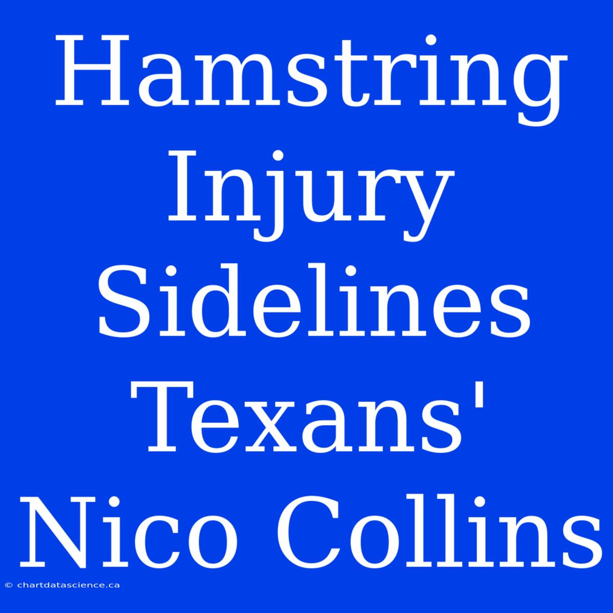 Hamstring Injury Sidelines Texans' Nico Collins