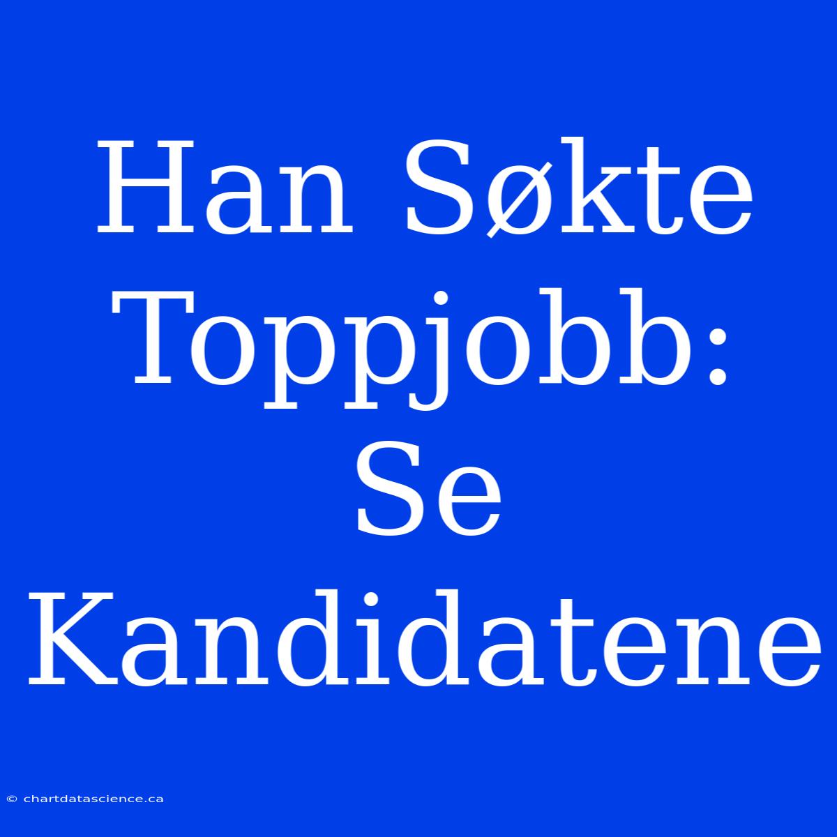 Han Søkte Toppjobb: Se Kandidatene