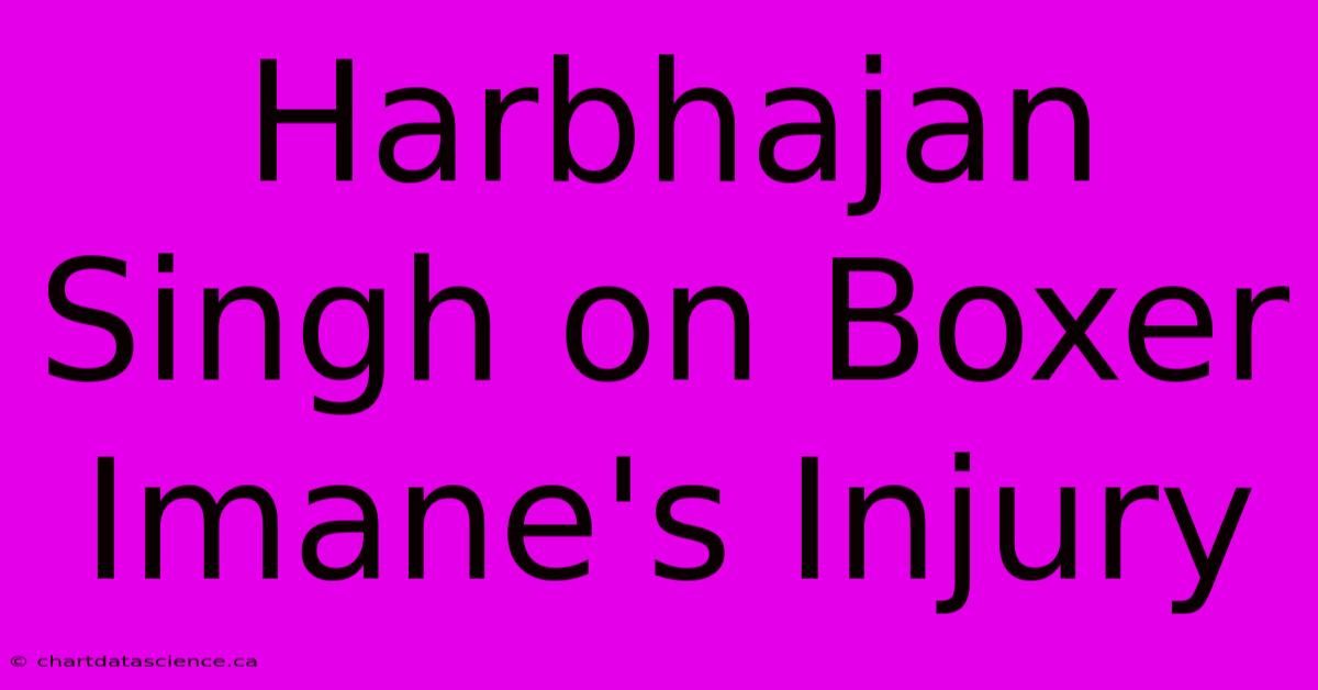 Harbhajan Singh On Boxer Imane's Injury