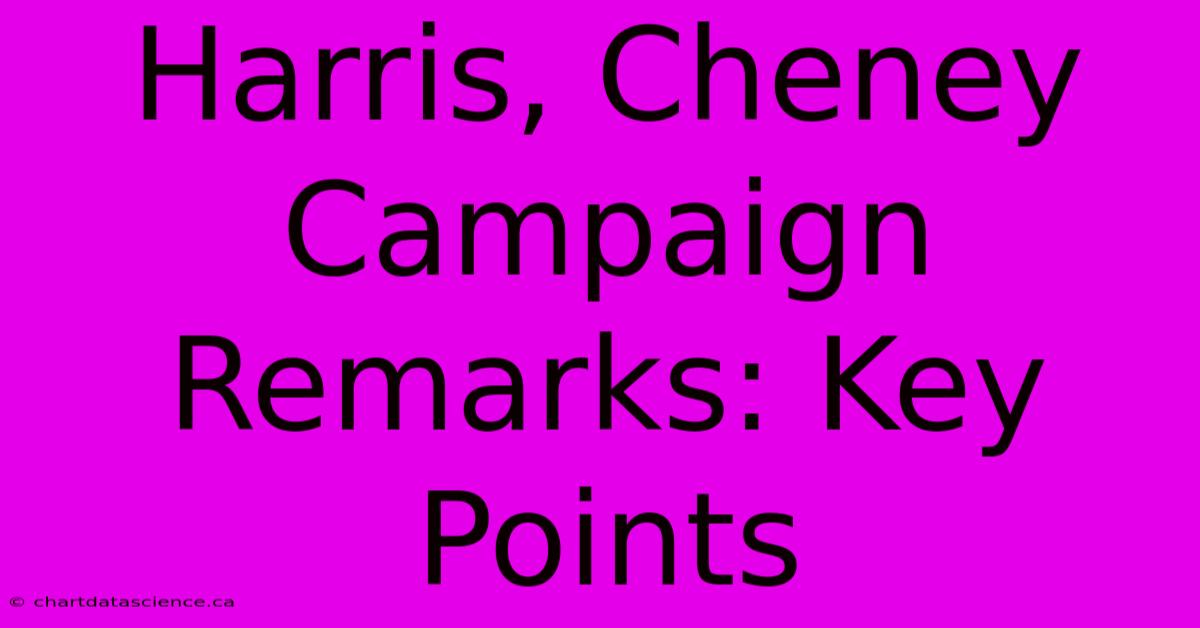 Harris, Cheney Campaign Remarks: Key Points