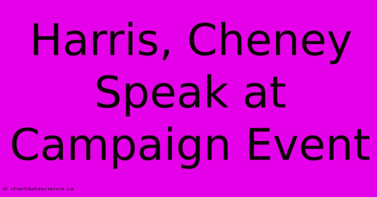 Harris, Cheney Speak At Campaign Event