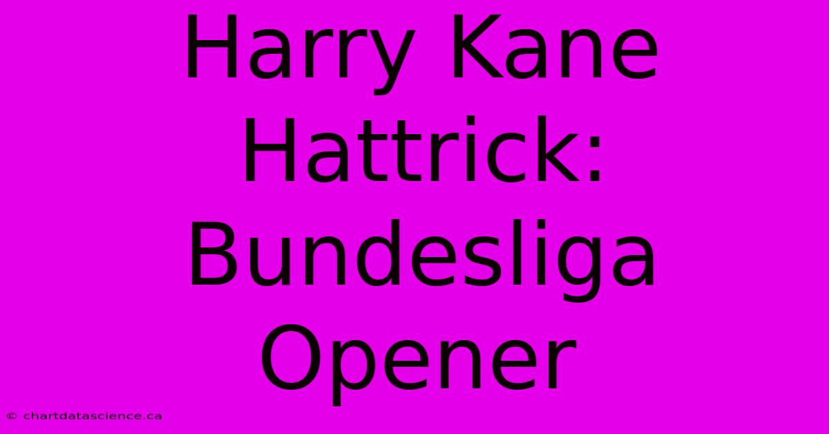 Harry Kane Hattrick: Bundesliga Opener