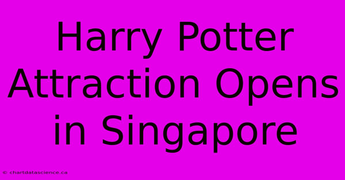 Harry Potter Attraction Opens In Singapore 