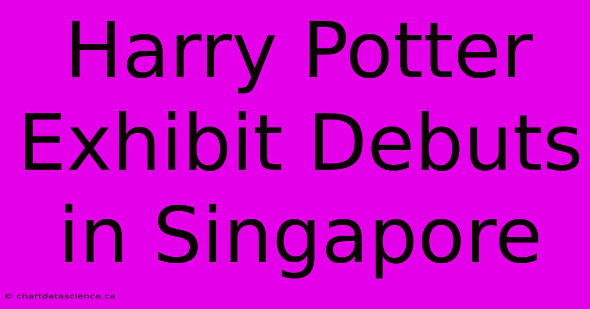 Harry Potter Exhibit Debuts In Singapore