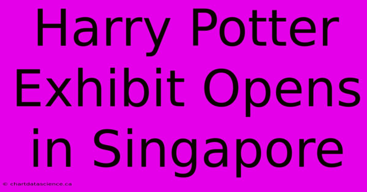 Harry Potter Exhibit Opens In Singapore