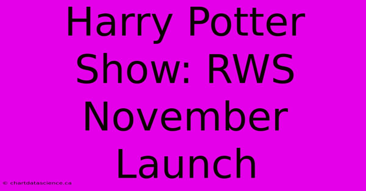 Harry Potter Show: RWS November Launch