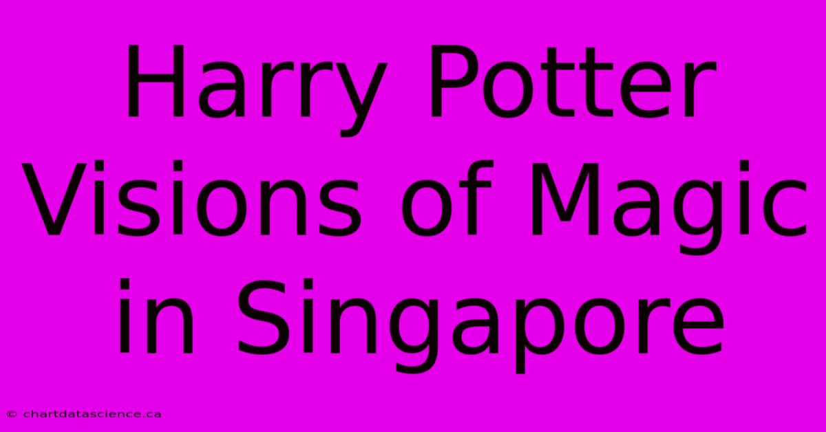 Harry Potter Visions Of Magic In Singapore