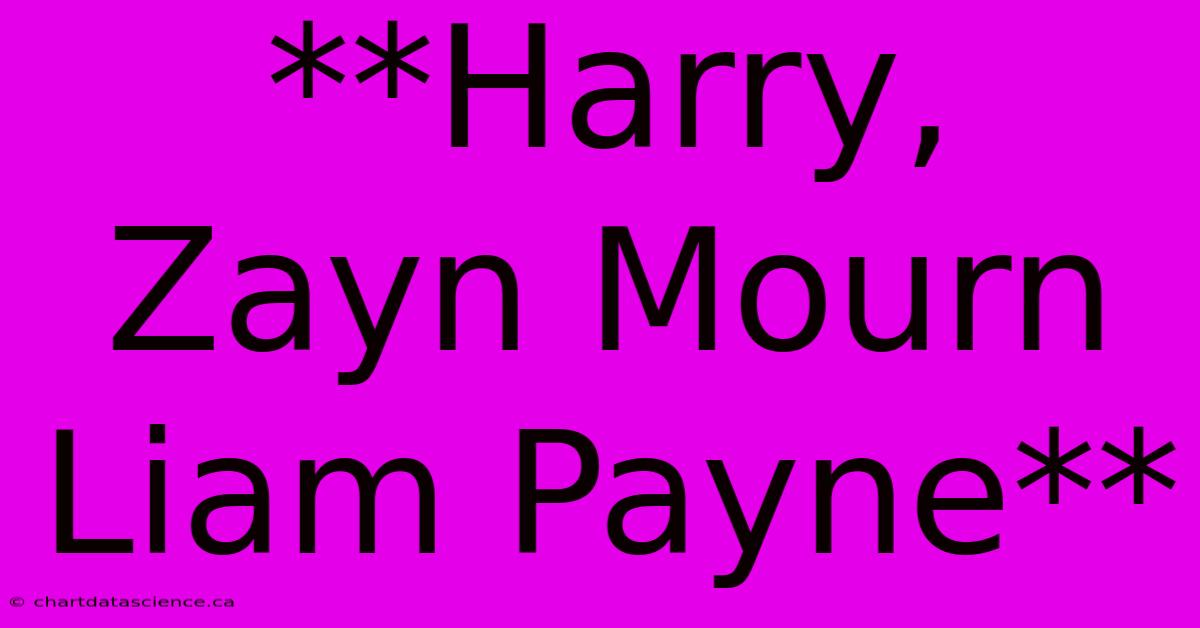 **Harry, Zayn Mourn Liam Payne**