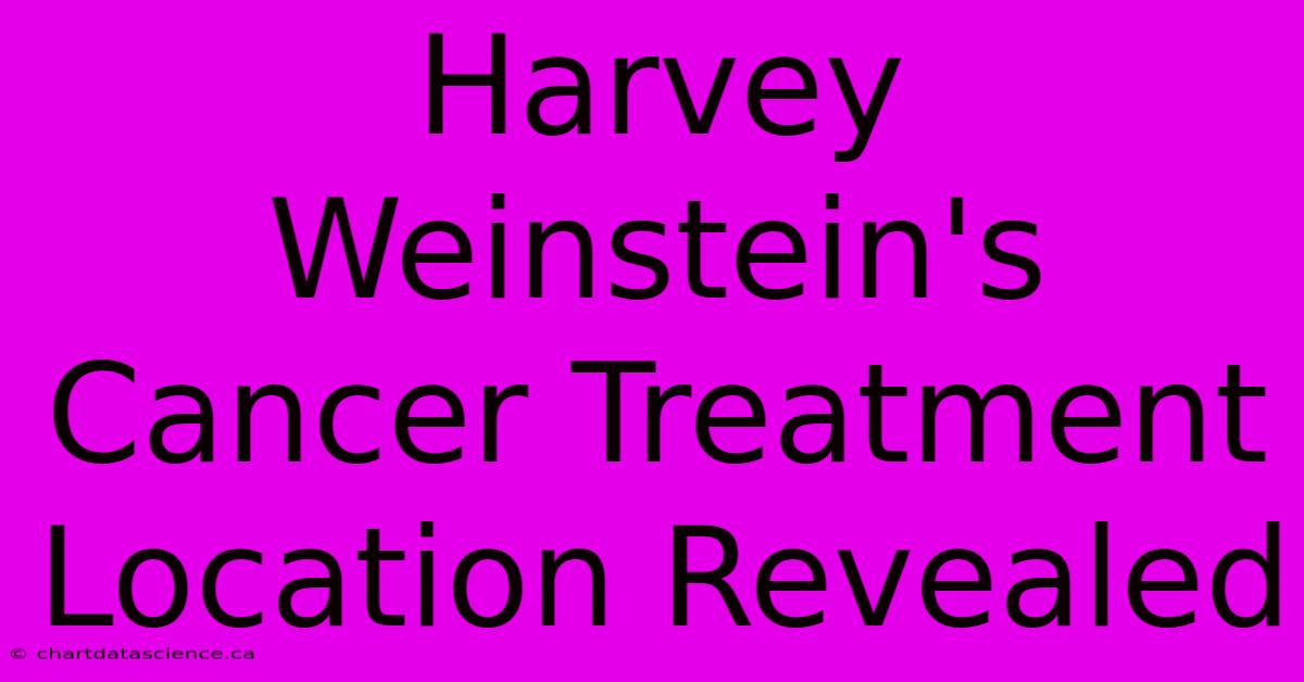 Harvey Weinstein's Cancer Treatment Location Revealed