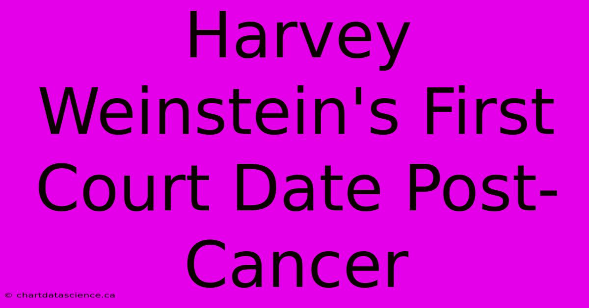 Harvey Weinstein's First Court Date Post-Cancer