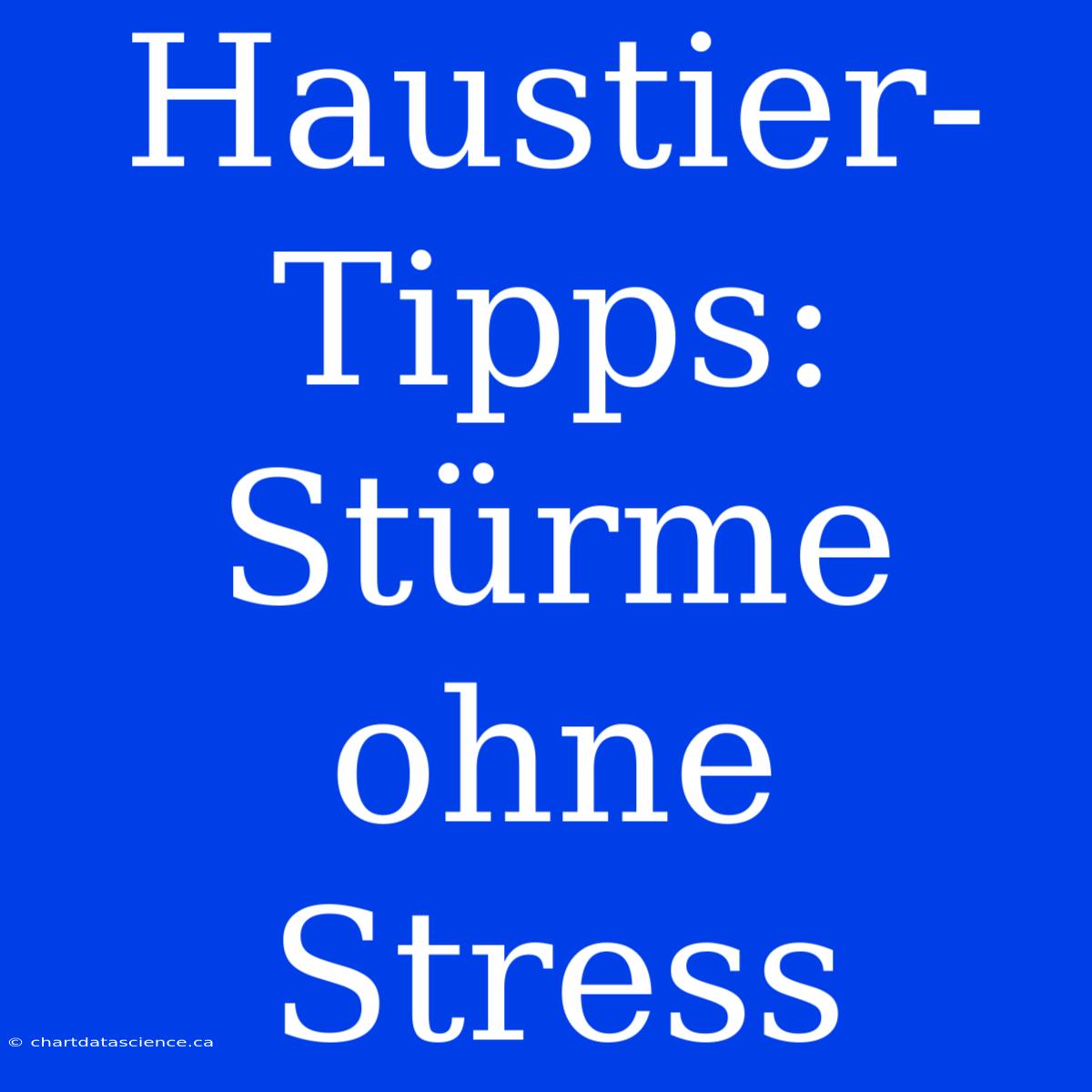 Haustier-Tipps: Stürme Ohne Stress