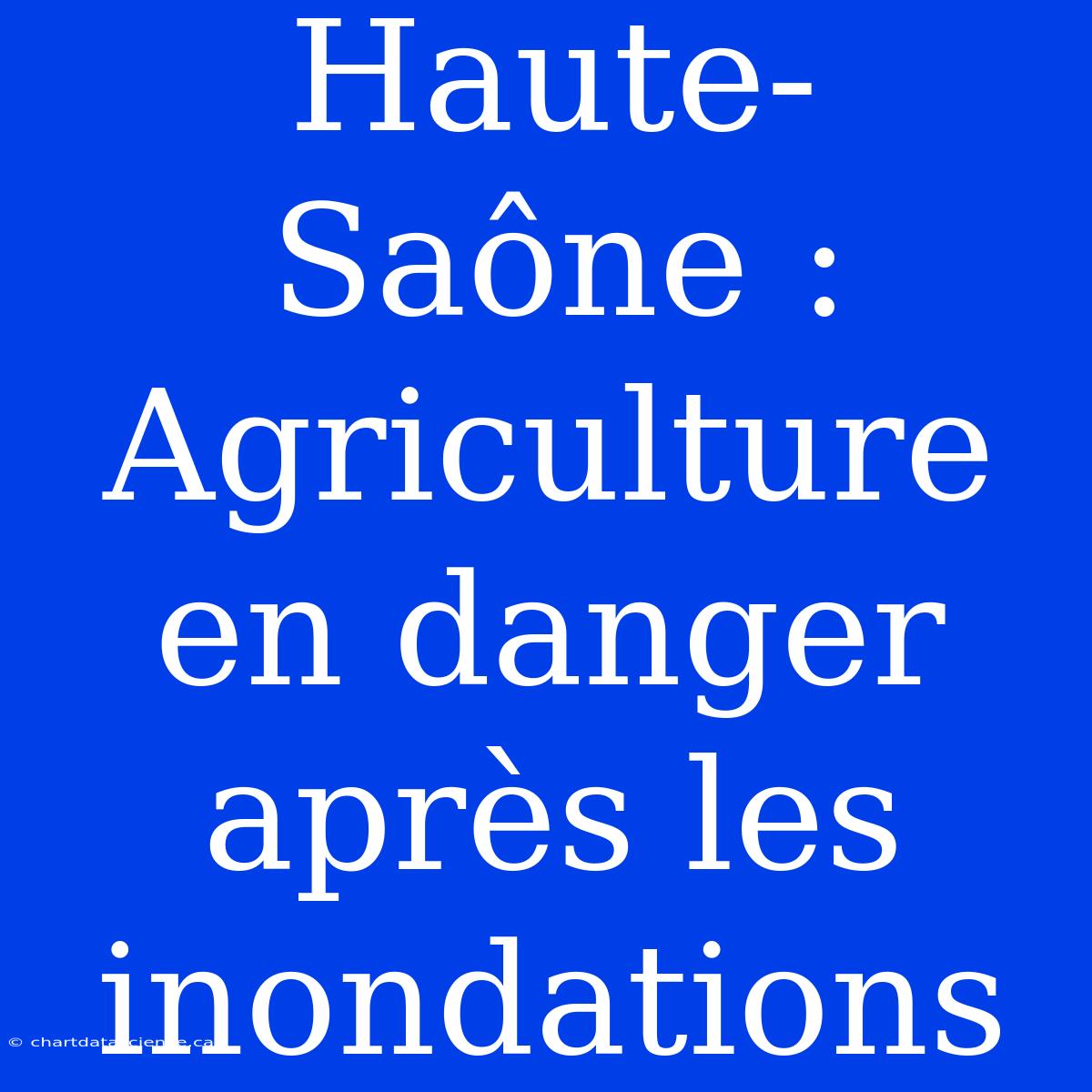 Haute-Saône : Agriculture En Danger Après Les Inondations