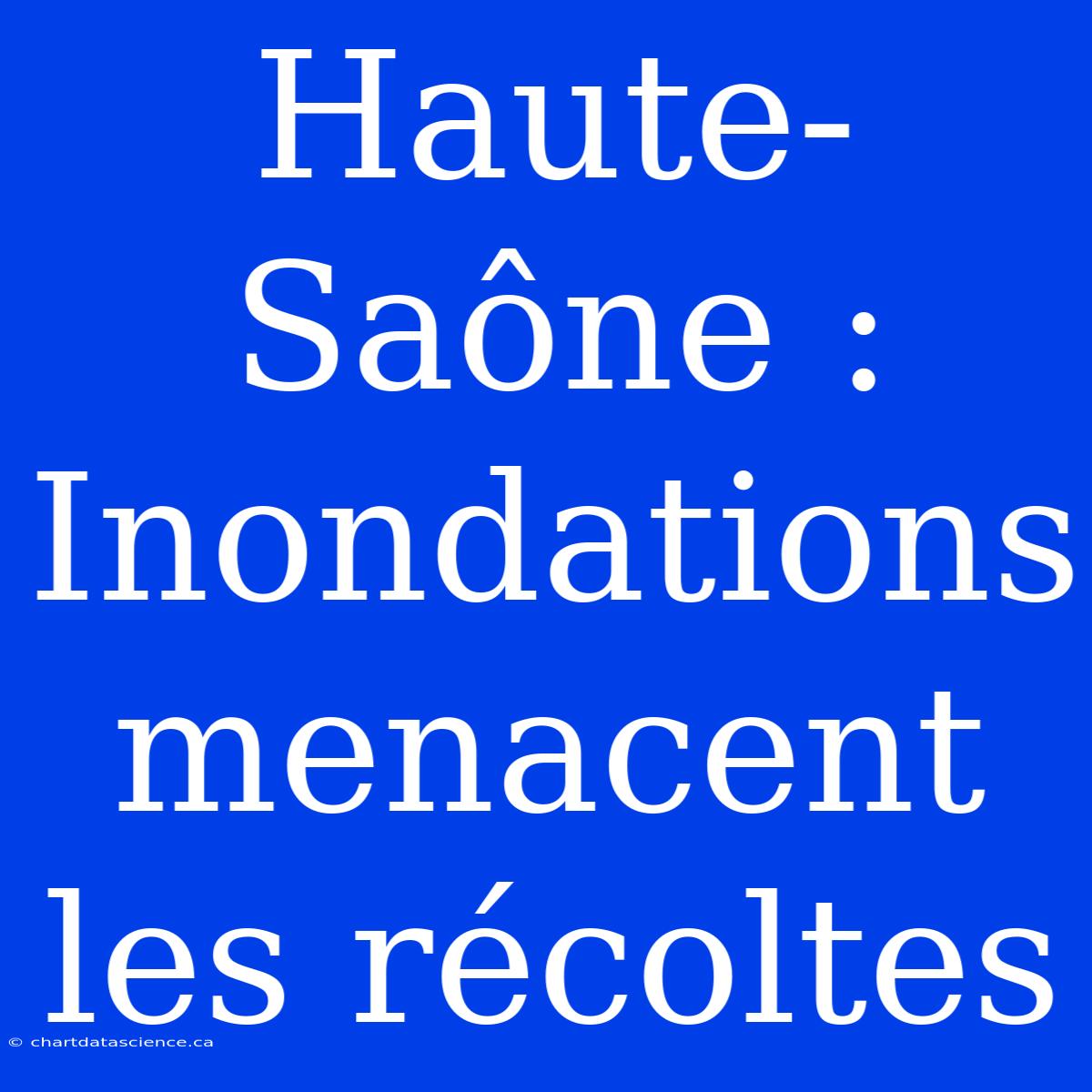 Haute-Saône : Inondations Menacent Les Récoltes