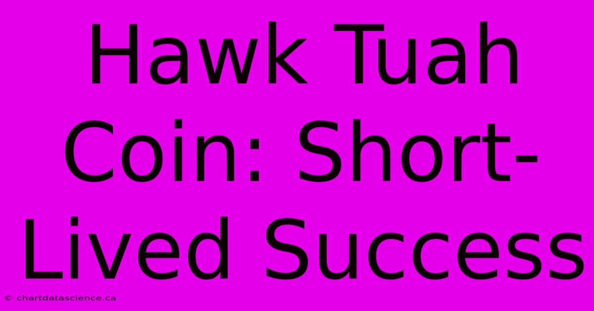 Hawk Tuah Coin: Short-Lived Success