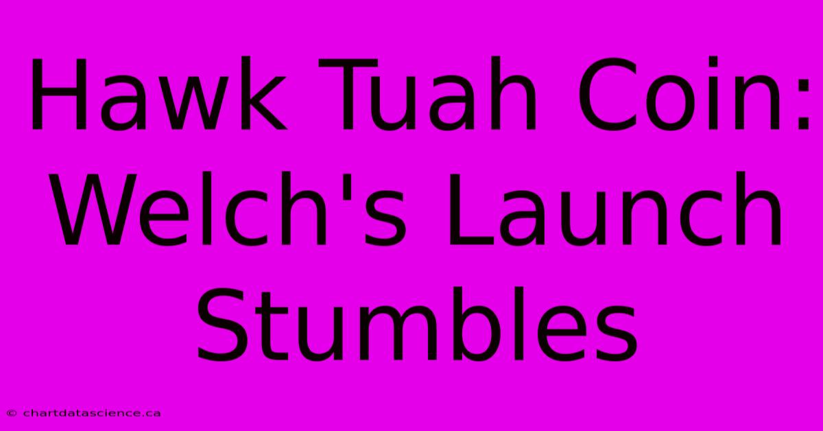 Hawk Tuah Coin: Welch's Launch Stumbles