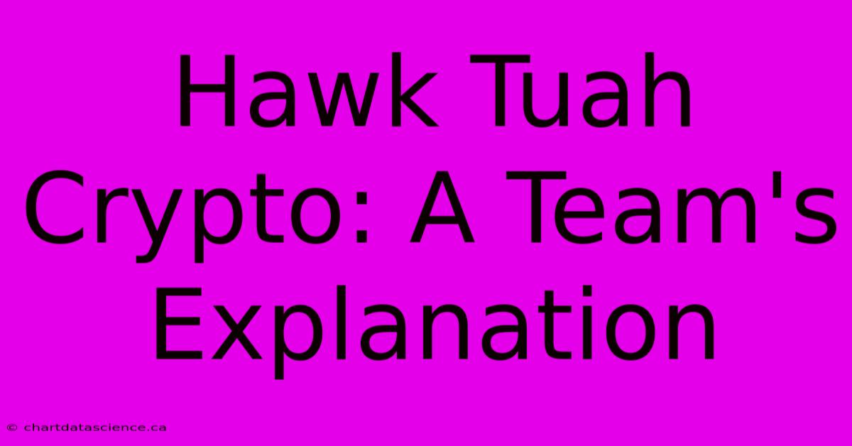 Hawk Tuah Crypto: A Team's Explanation