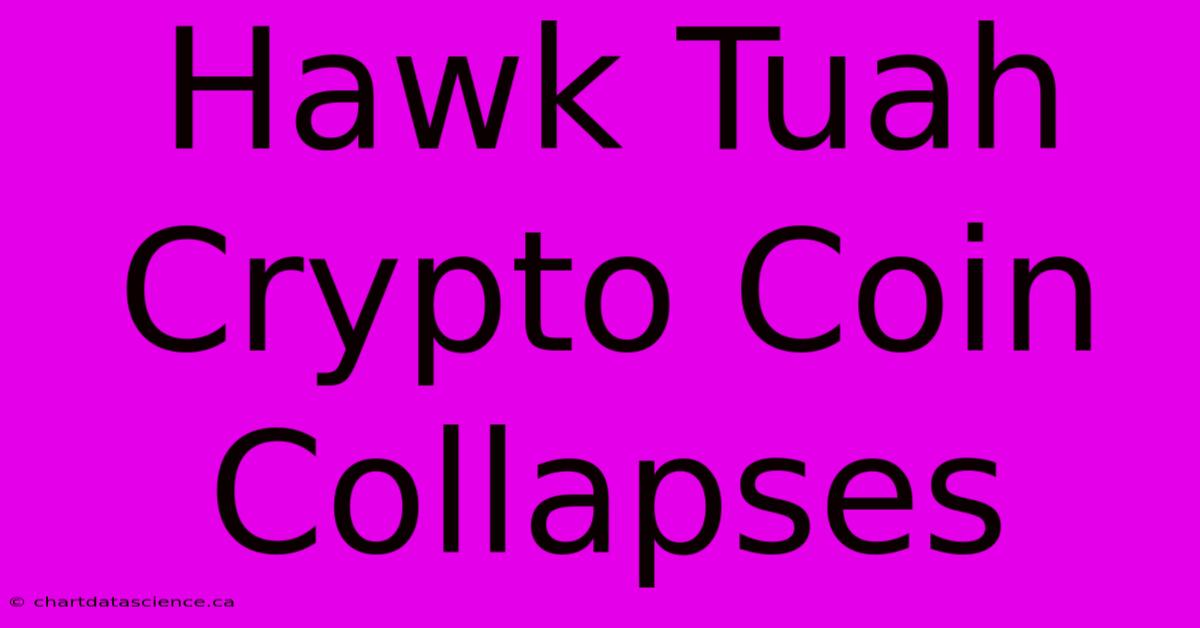 Hawk Tuah Crypto Coin Collapses