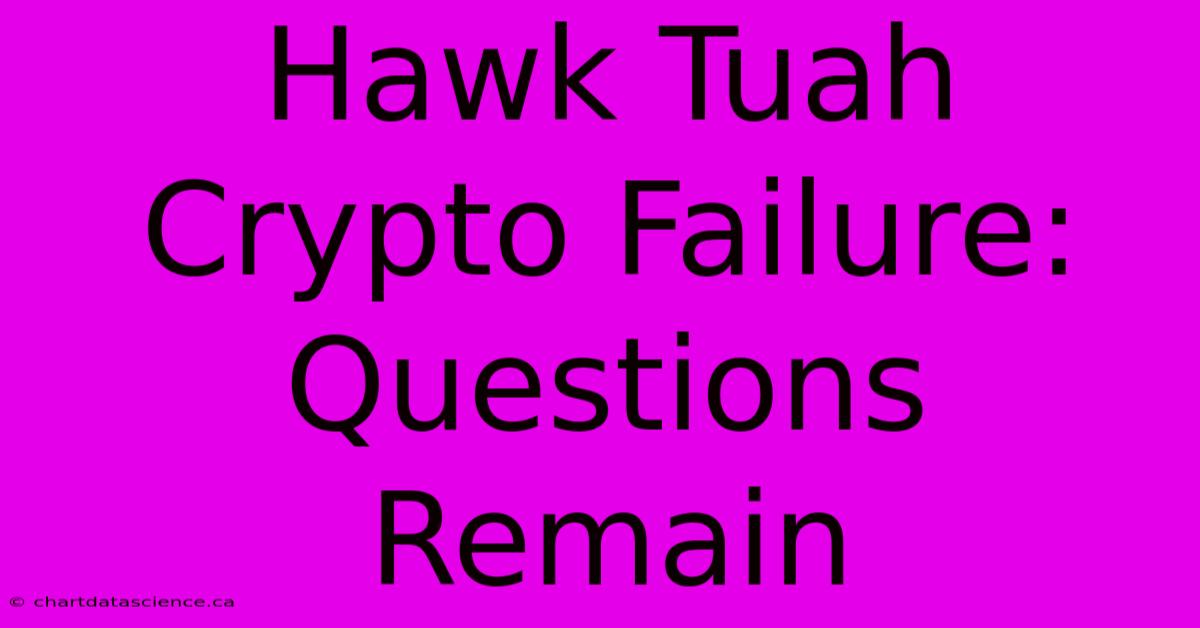 Hawk Tuah Crypto Failure: Questions Remain