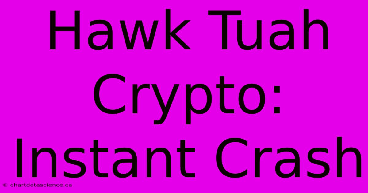 Hawk Tuah Crypto: Instant Crash