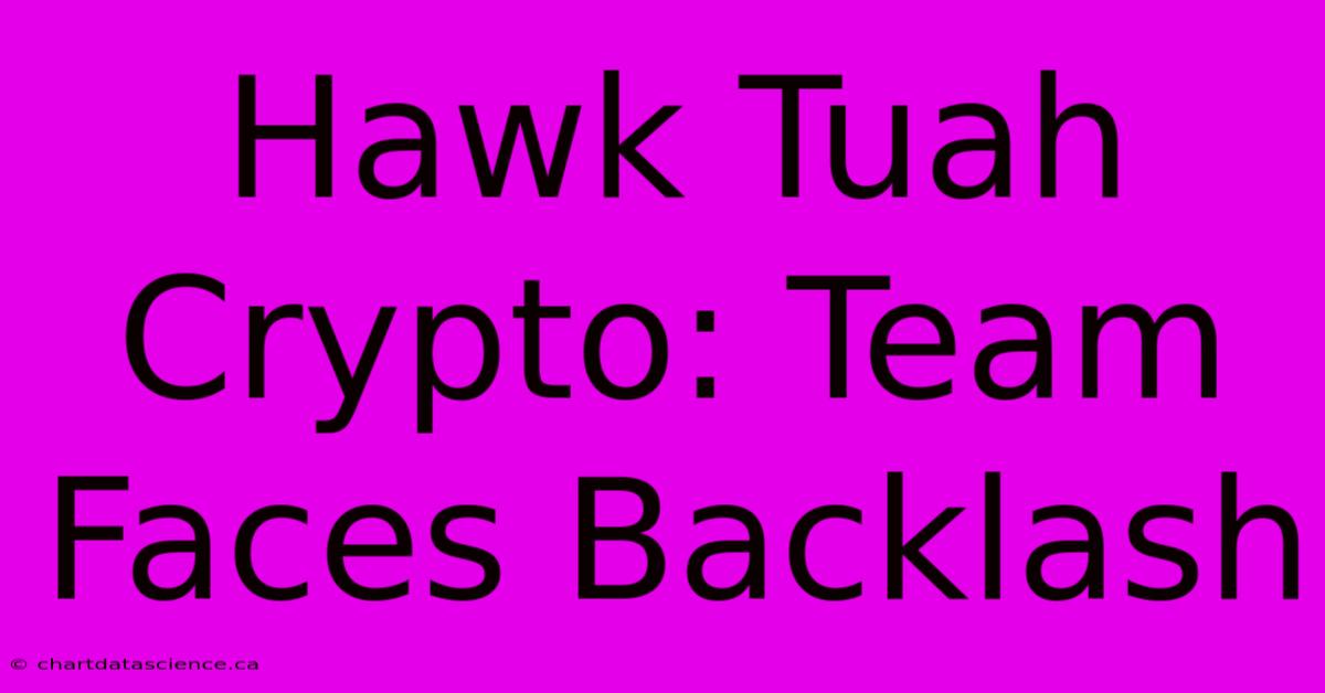 Hawk Tuah Crypto: Team Faces Backlash