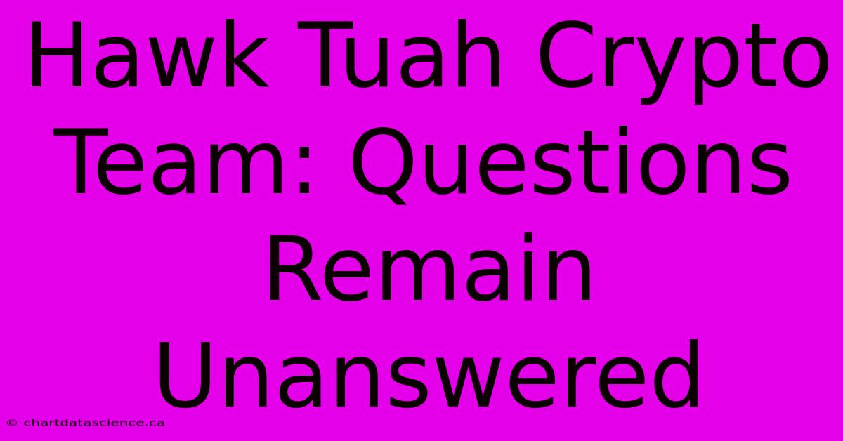 Hawk Tuah Crypto Team: Questions Remain Unanswered