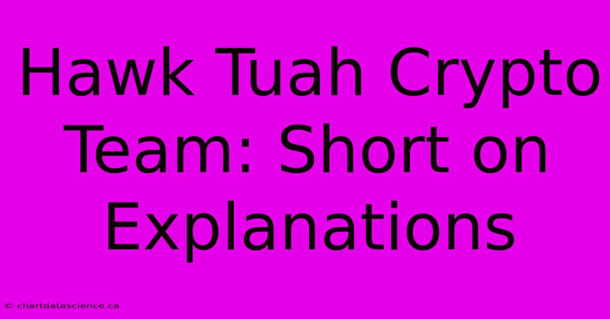 Hawk Tuah Crypto Team: Short On Explanations