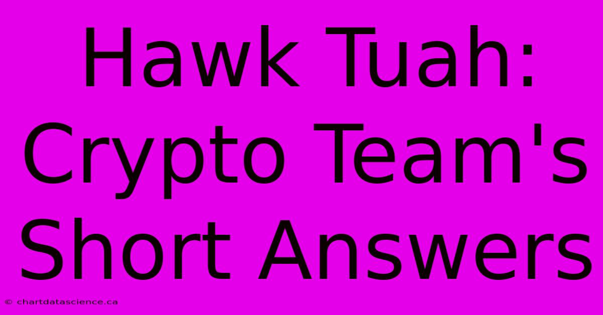 Hawk Tuah: Crypto Team's Short Answers