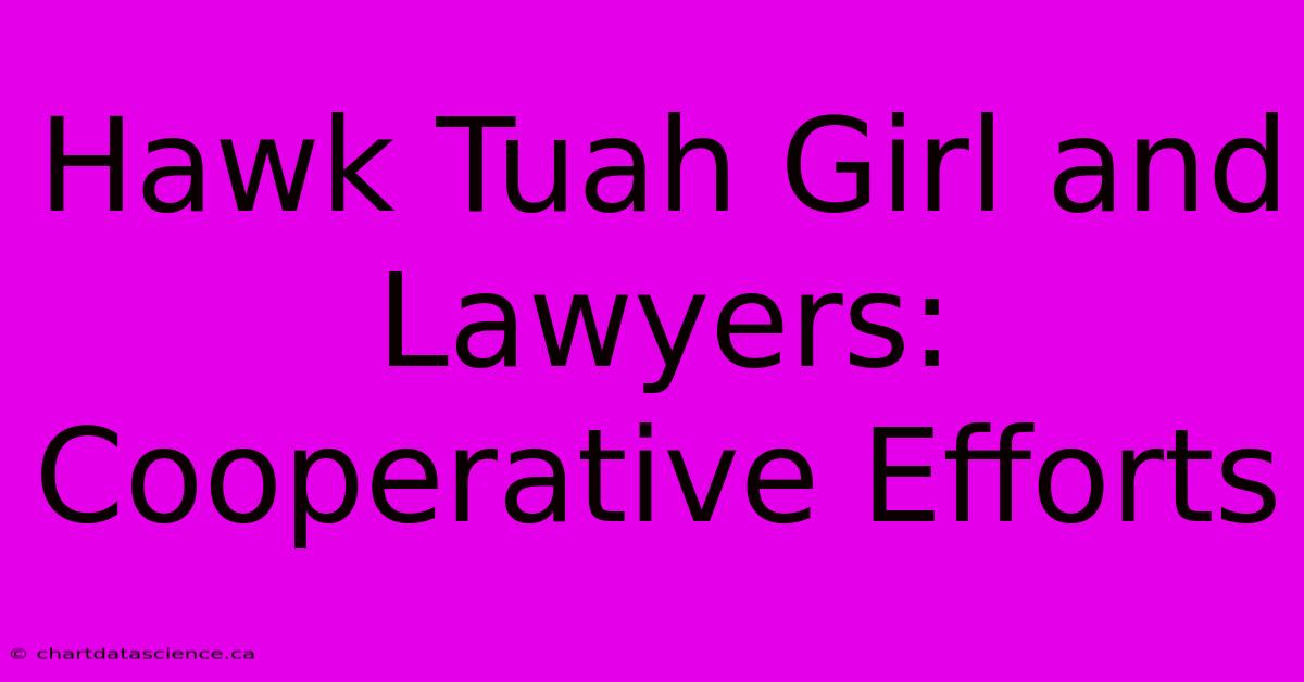 Hawk Tuah Girl And Lawyers: Cooperative Efforts