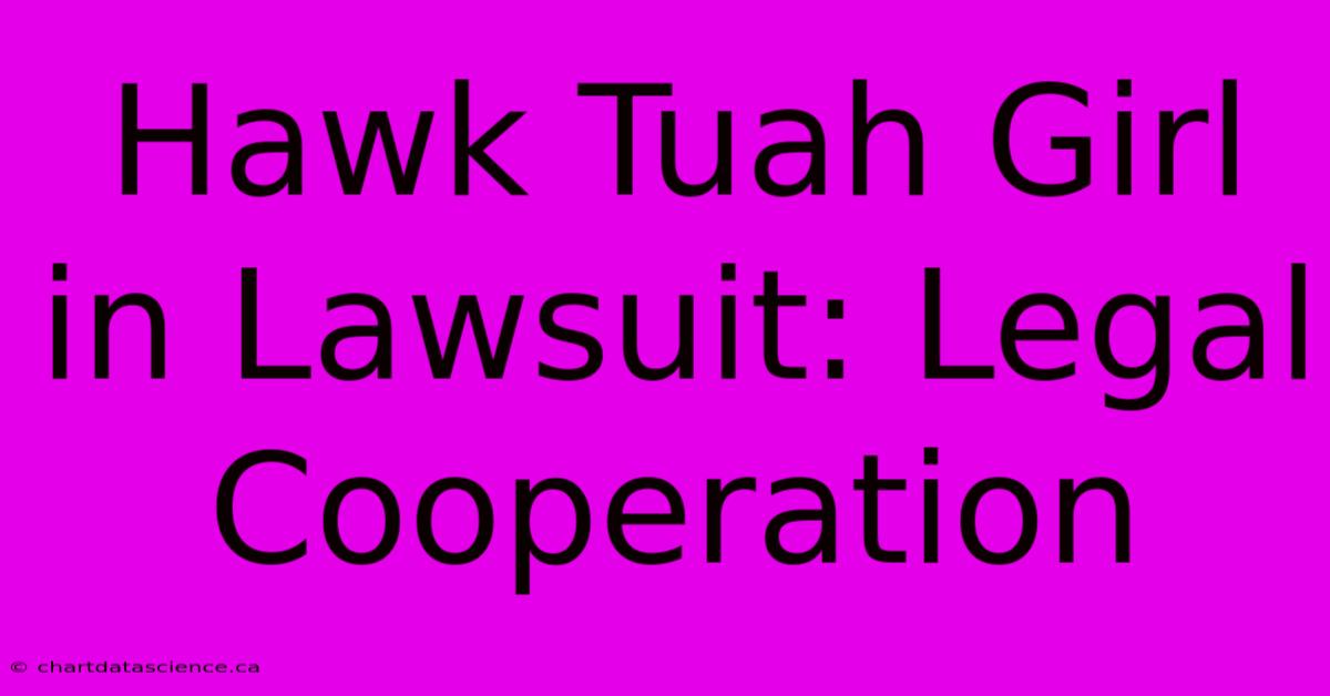 Hawk Tuah Girl In Lawsuit: Legal Cooperation