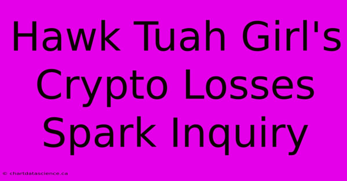 Hawk Tuah Girl's Crypto Losses Spark Inquiry