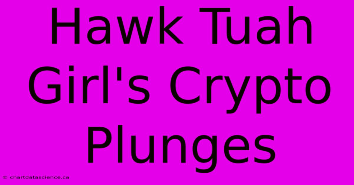 Hawk Tuah Girl's Crypto Plunges