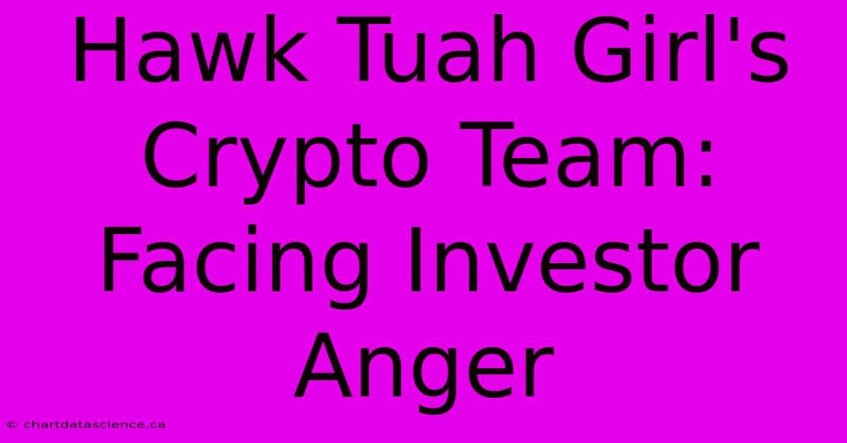 Hawk Tuah Girl's Crypto Team: Facing Investor Anger