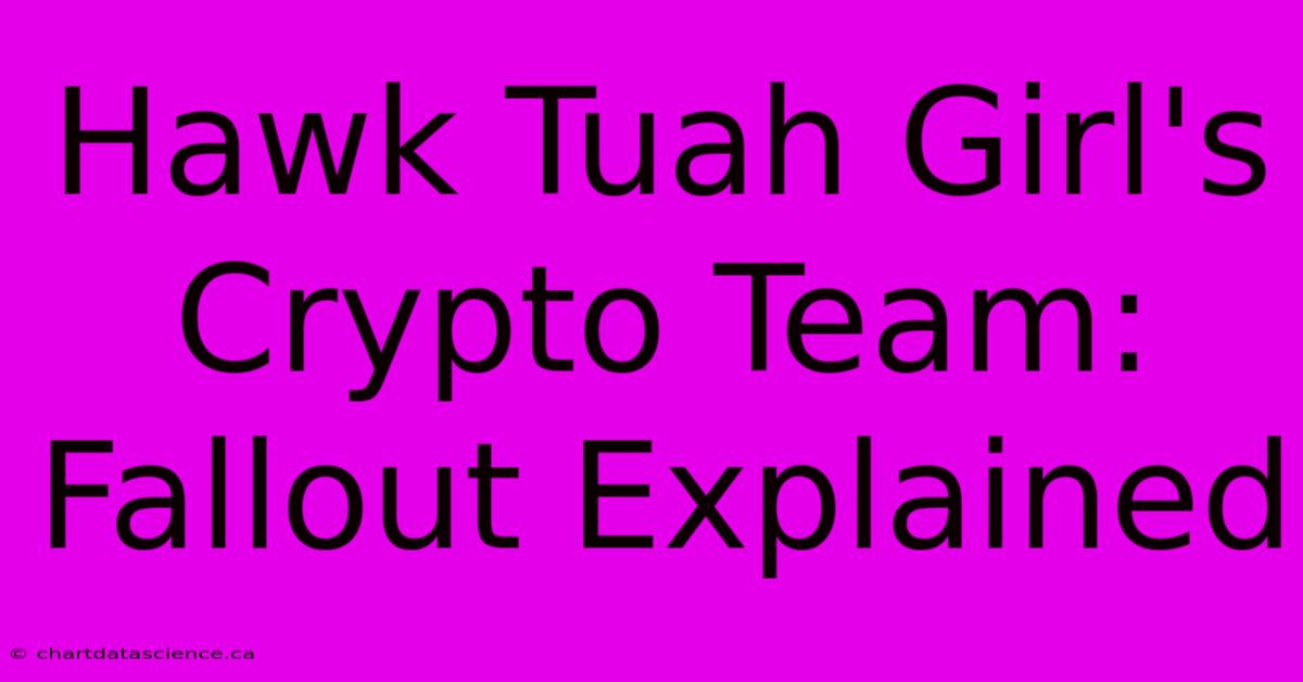 Hawk Tuah Girl's Crypto Team: Fallout Explained