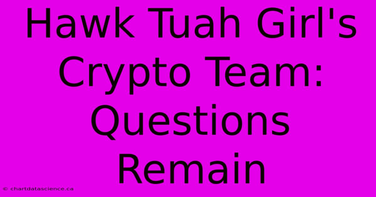 Hawk Tuah Girl's Crypto Team: Questions Remain