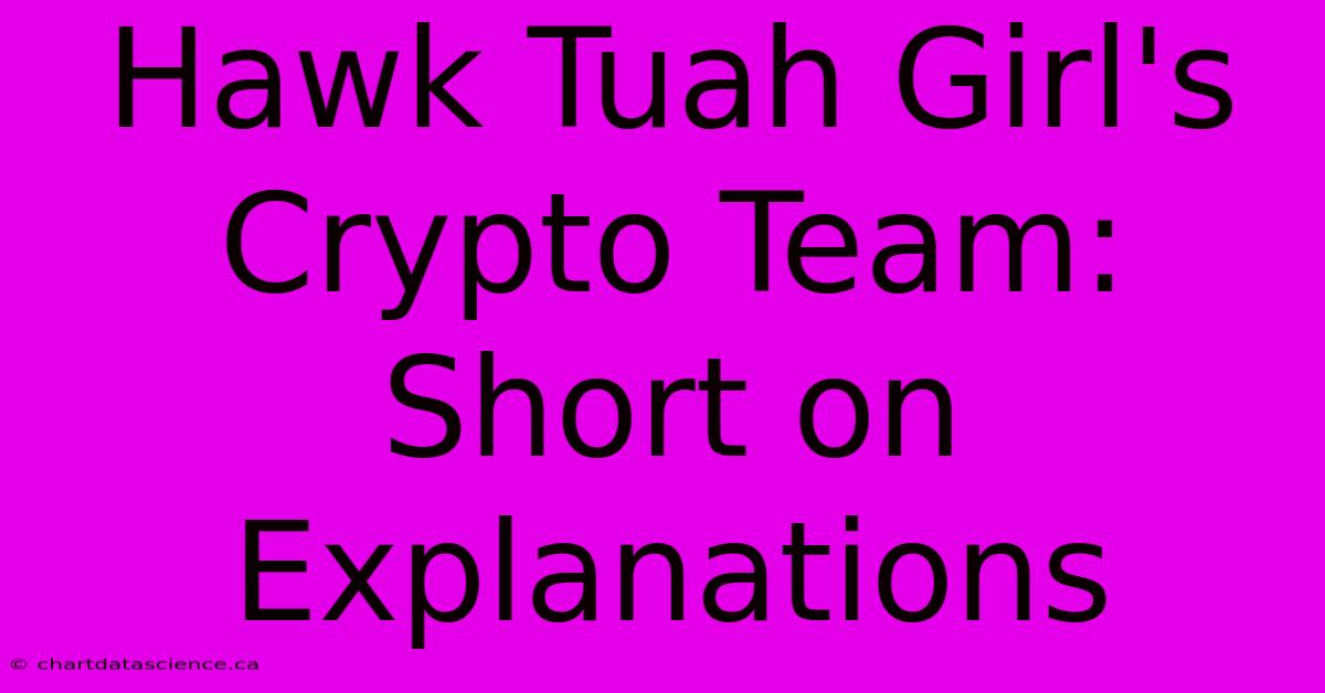 Hawk Tuah Girl's Crypto Team: Short On Explanations