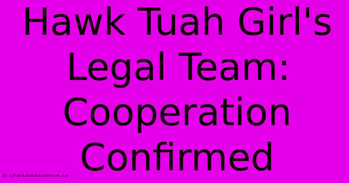 Hawk Tuah Girl's Legal Team: Cooperation Confirmed