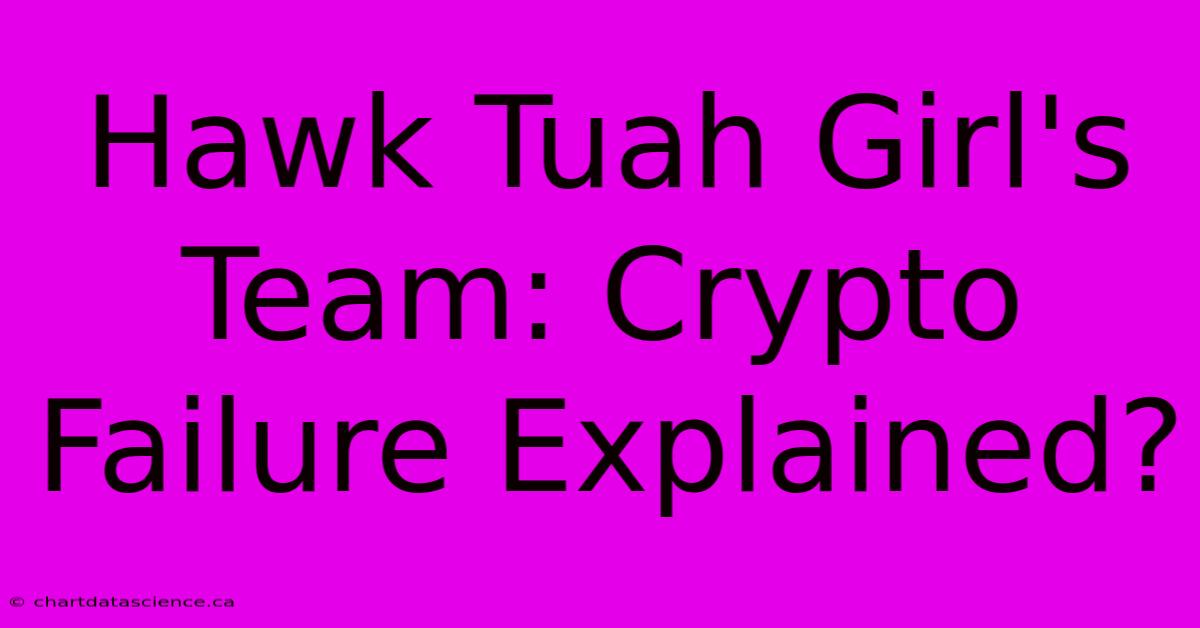 Hawk Tuah Girl's Team: Crypto Failure Explained?