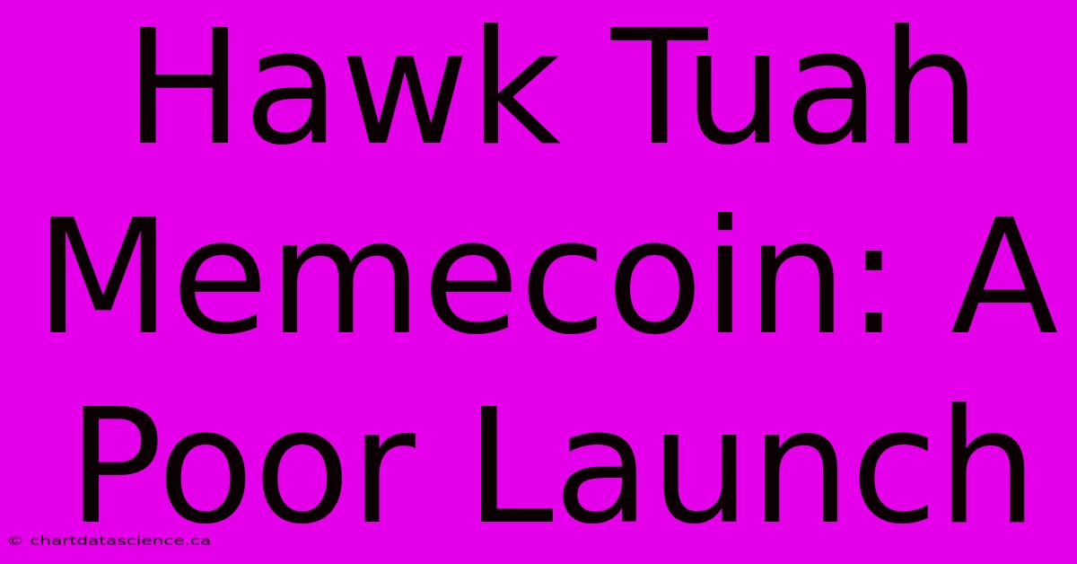 Hawk Tuah Memecoin: A Poor Launch